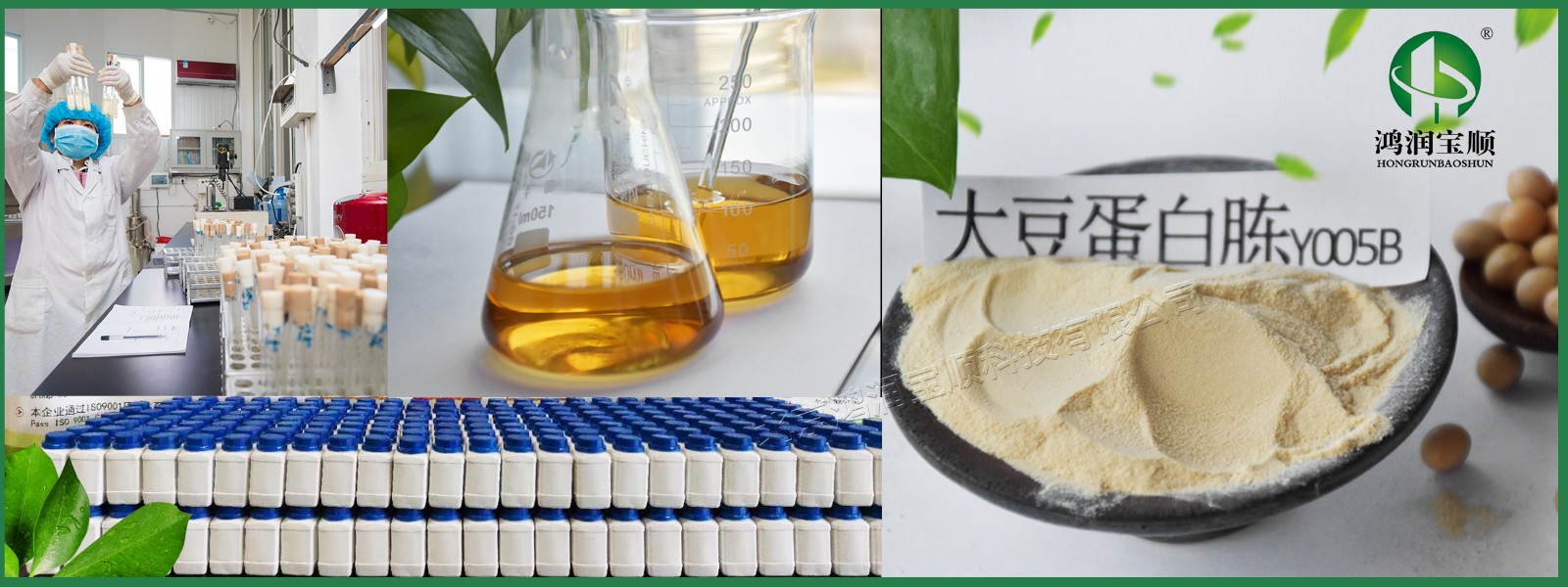 鸿润宝顺大豆蛋白胨 保健食品领域的植物源营养新星